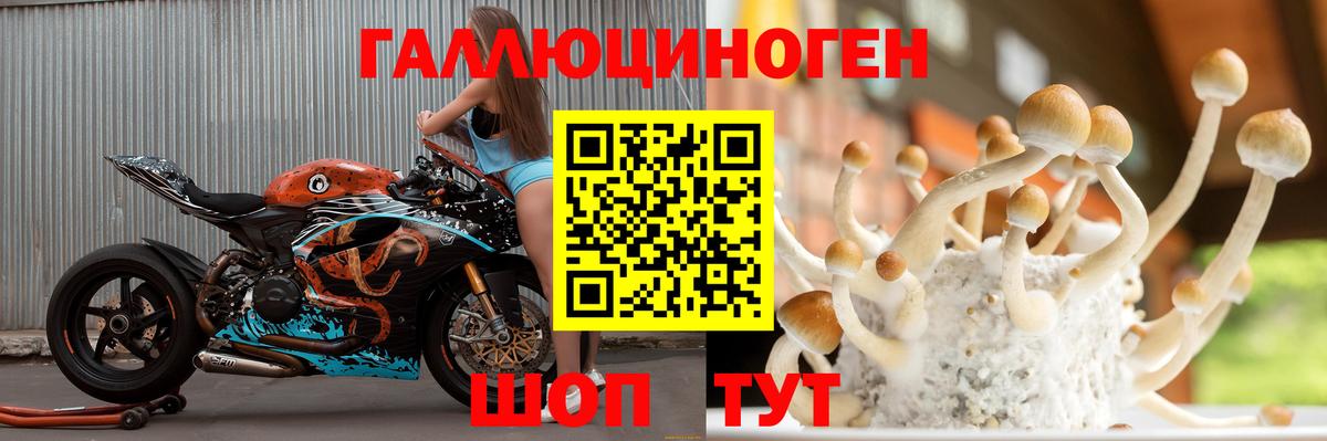 Электросталь  Галлюциногенные грибы прущие грибы  Вход с VPN 